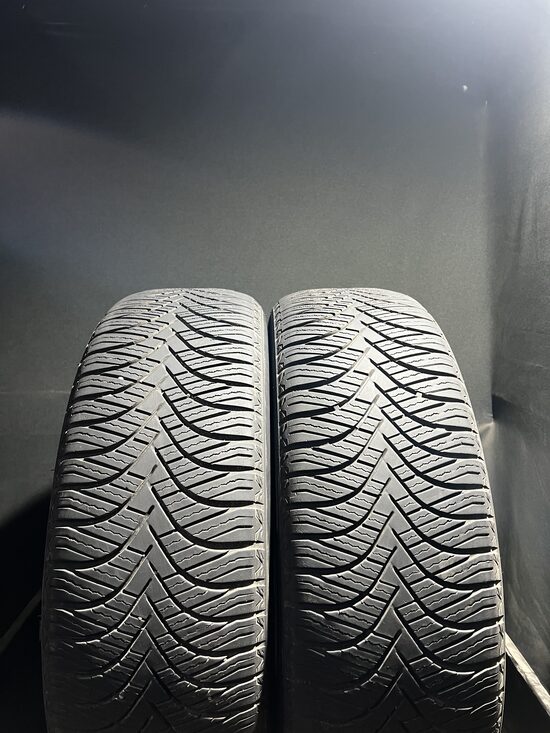 215/65R17 Westlake Z401 (4,5mm)