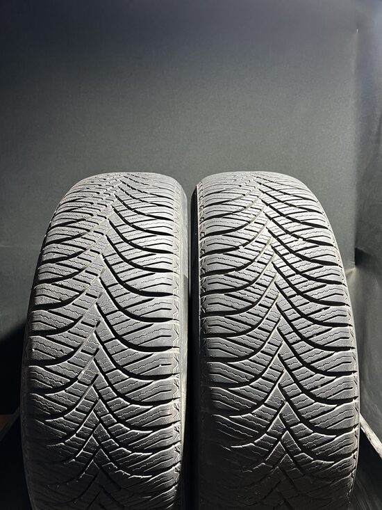 215/65R17 Westlake Z401 (6 mm)